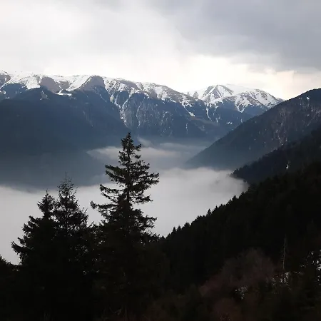 Yesil Kosk Uzungöl