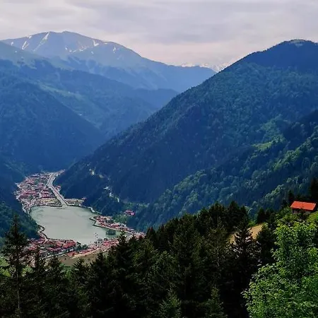 Yesil Kosk Hotel Uzungöl