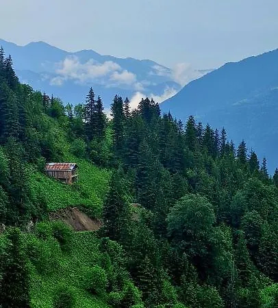 Yesil Kosk Hotel Uzungöl