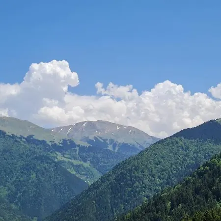 Hotel Yesil Kosk Uzungöl