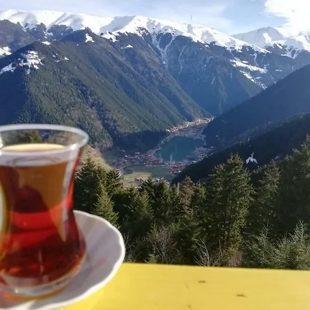 Yesil Kosk 3*