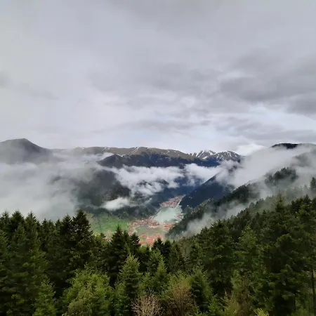 Yesil Kosk Hotel Uzungol
