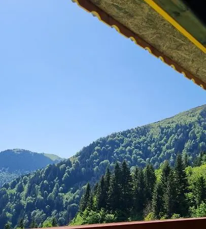 فندق يسيل كوسك أوزونغول