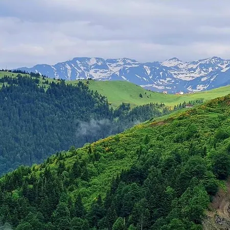 Yesil Kosk Hotel